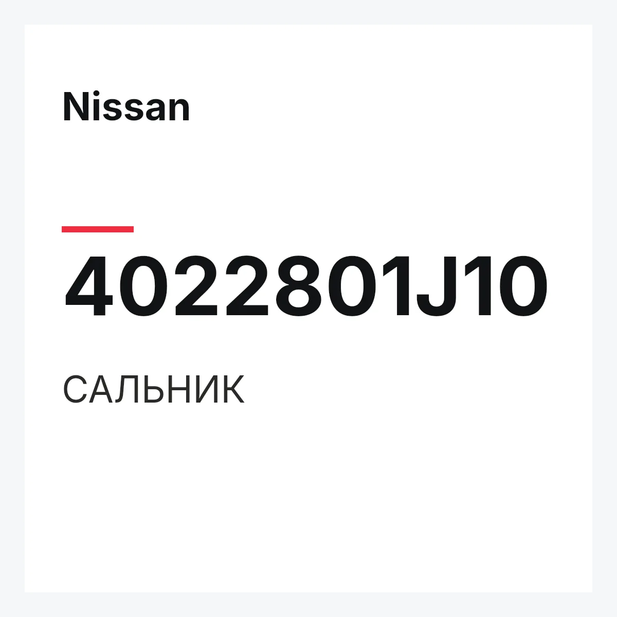 Nissan 4022801J10 — САЛЬНИК